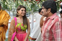 Naga Chaitanya Durga Movie Opening